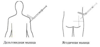 5.PNG