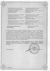 Аджисепт_2
