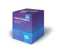 ЭКЗОКОСМОС (EXOCOSMOS) ULTRA для кожи лица лиофилизат с экзосомами 10 млрд 100 мг №1 флакон